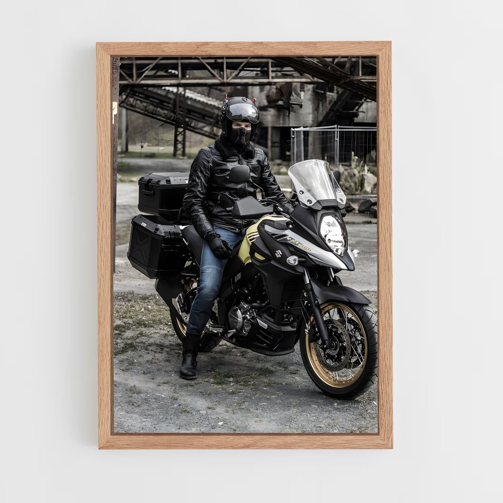 Poster magnifique V-strom (vue 4)